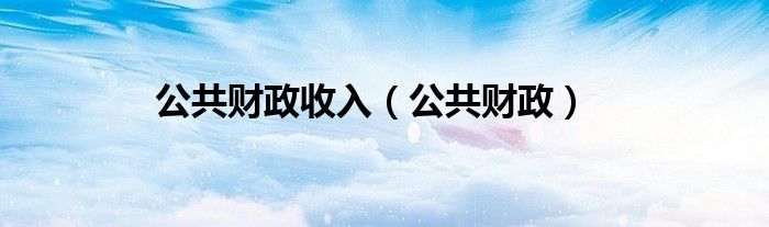 公共財政收入（公共財政）