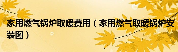 家用燃氣鍋爐取暖費用（家用燃氣取暖鍋爐安裝圖）