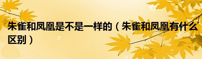 朱雀和鳳凰是不是一樣的（朱雀和鳳凰有什么區(qū)別）