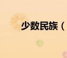 少數(shù)民族（說一說少數(shù)民族的簡介）