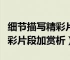 細節(jié)描寫精彩片段加賞析加出處（細節(jié)描寫精彩片段加賞析）