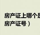房產(chǎn)證上哪個是房產(chǎn)證號圖（房產(chǎn)證上哪個是房產(chǎn)證號）