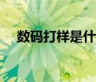 數(shù)碼打樣是什么意思（打樣是什么意思）