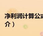 凈利潤計算公式（說一說凈利潤計算公式的簡介）