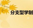 分支型學(xué)制名詞解釋（分支型學(xué)制）