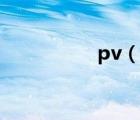pv（說一說pv的簡介）
