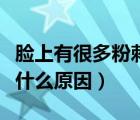 臉上有很多粉刺該怎么辦（臉上有很多粉刺是什么原因）
