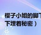 櫻子小姐的腳下埋著秘密小說（櫻子小姐的腳下埋著秘密）