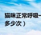 貓咪正常呼吸一分鐘多少次（正常呼吸一分鐘多少次）