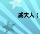 戚夫人（說一說戚夫人的簡(jiǎn)介）