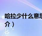哈拉少什么意思（說(shuō)一說(shuō)哈拉少什么意思的簡(jiǎn)介）
