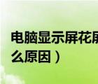 電腦顯示屏花屏的原因（電腦顯示屏閃爍是什么原因）