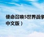 使命召喚5世界戰(zhàn)爭修改器風靈月影（使命召喚5 世界戰(zhàn)爭中文版）