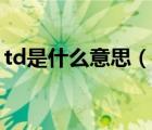 td是什么意思（說(shuō)一說(shuō)td是什么意思的簡(jiǎn)介）