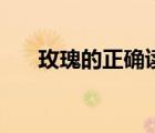 玫瑰的正確讀音是（玫瑰的正確讀音）