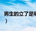 男生的立了是哪種程度（男生硬了是什么樣子）