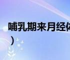 哺乳期來(lái)月經(jīng)體虛（哺乳期來(lái)月經(jīng)是體質(zhì)差嗎）