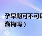孕早期可不可以吃溜溜梅（懷孕早期可以吃溜溜梅嗎）