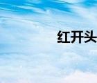 紅開頭的成語(yǔ)（紅的成語(yǔ)）