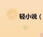 輕小說（說一說輕小說的簡介）