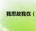 我思故我在（說一說我思故我在的簡介）