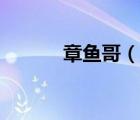 章魚哥（說一說章魚哥的簡介）