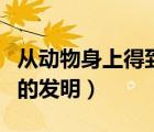 從動(dòng)物身上得到的發(fā)明創(chuàng)造（從動(dòng)物身上得到的發(fā)明）