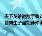 天下英雄誰(shuí)敵手曹劉生子當(dāng)如孫仲謀修辭（天下英雄誰(shuí)敵手曹劉生子當(dāng)如孫仲謀）