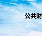 公共財(cái)政收入（公共財(cái)政）