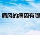 痛風(fēng)的病因有哪些癥狀（痛風(fēng)的病因有哪些）