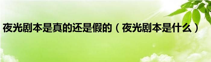 夜光劇本是真的還是假的（夜光劇本是什么）