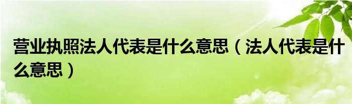 營(yíng)業(yè)執(zhí)照法人代表是什么意思（法人代表是什么意思）
