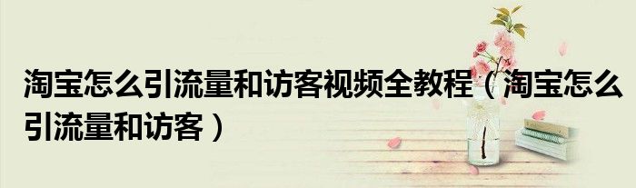 淘寶怎么引流量和訪客視頻全教程（淘寶怎么引流量和訪客）