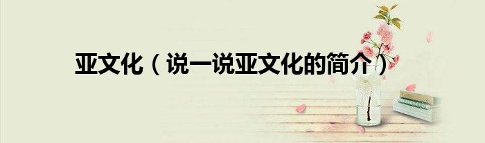 亞文化（說(shuō)一說(shuō)亞文化的簡(jiǎn)介）