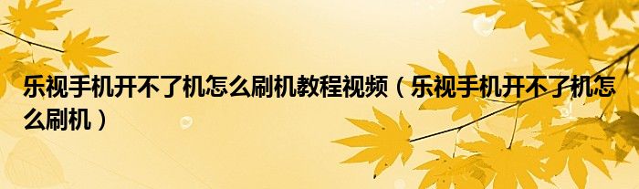 樂(lè)視手機(jī)開(kāi)不了機(jī)怎么刷機(jī)教程視頻（樂(lè)視手機(jī)開(kāi)不了機(jī)怎么刷機(jī)）