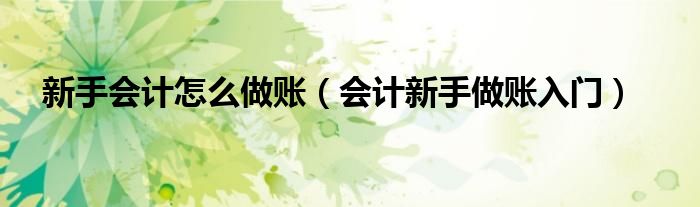 新手會計怎么做賬（會計新手做賬入門）