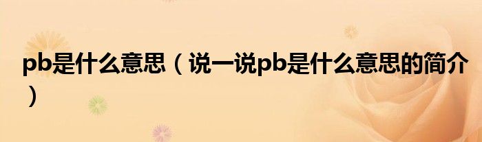 pb是什么意思（說一說pb是什么意思的簡介）