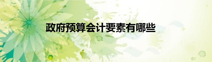 政府預(yù)算會(huì)計(jì)要素有哪些