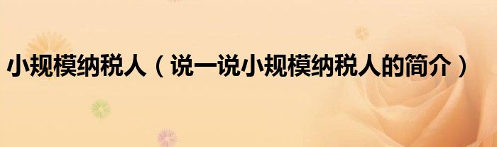 小規(guī)模納稅人（說一說小規(guī)模納稅人的簡介）