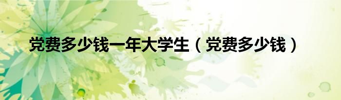 黨費(fèi)多少錢(qián)一年大學(xué)生（黨費(fèi)多少錢(qián)）