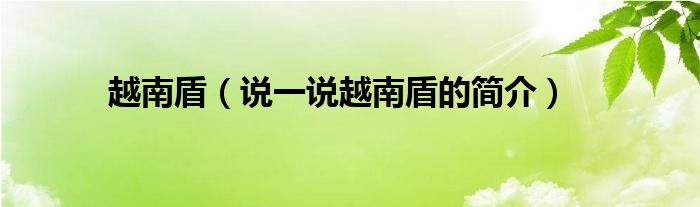 越南盾（說一說越南盾的簡介）