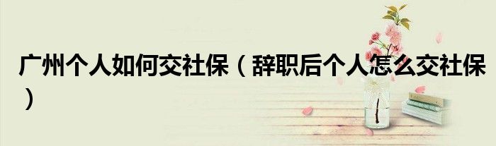 廣州個人如何交社保（辭職后個人怎么交社保）