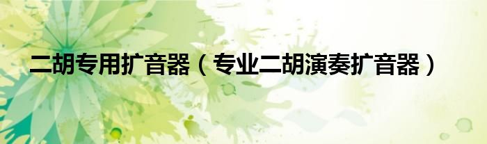 二胡專(zhuān)用擴(kuò)音器（專(zhuān)業(yè)二胡演奏擴(kuò)音器）