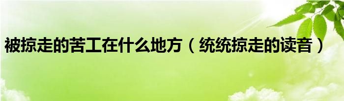 被掠走的苦工在什么地方（統(tǒng)統(tǒng)掠走的讀音）