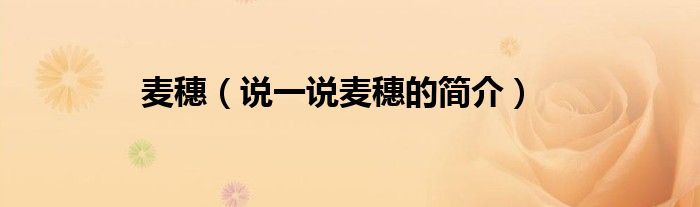 麥穗（說一說麥穗的簡介）