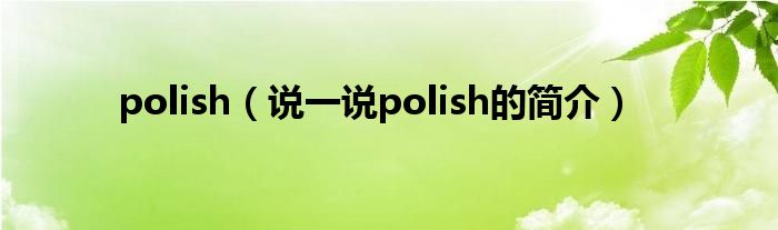 polish（說一說polish的簡(jiǎn)介）
