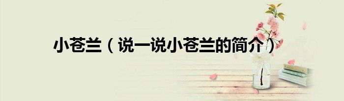 小蒼蘭（說(shuō)一說(shuō)小蒼蘭的簡(jiǎn)介）