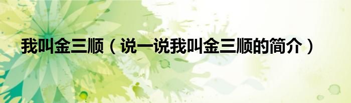 我叫金三順（說一說我叫金三順的簡(jiǎn)介）