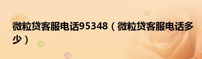 微粒貸客服電話95348（微粒貸客服電話多少）