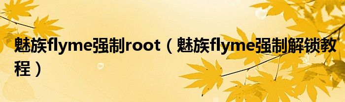 魅族flyme強(qiáng)制root（魅族flyme強(qiáng)制解鎖教程）